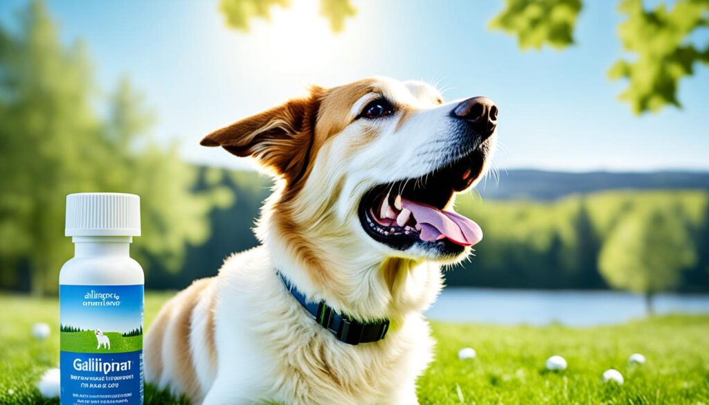 galliprant for dogs