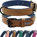 The best dog collars in 2024: from leather to martingale